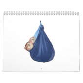 フェレットのカレンダー2011年 カレンダー (カバー)