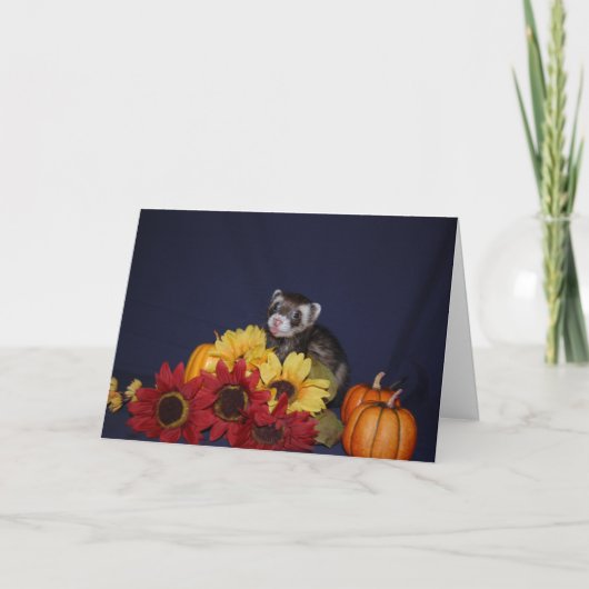 フェレットのバースデー・カード カード (正面)