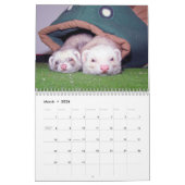フェレットの壁掛けカレンダー カレンダー (3月 2026)