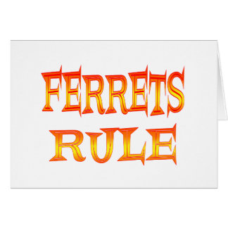 フェレットの規則