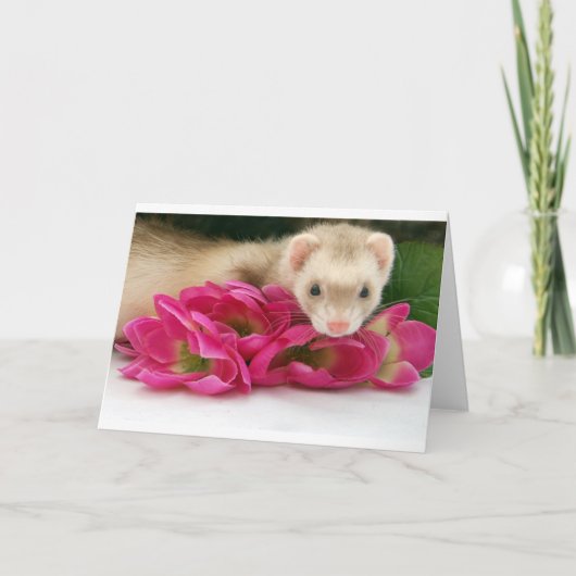 フェレットカード カード (正面)