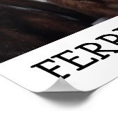 フェレットキス ポスター (角)