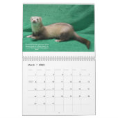 フェレット救助給付カレンダー カレンダー (3月 2026)