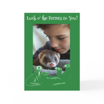 フェレット聖パトリックの日の幸運