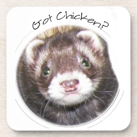 フェレット顔写真得チキン？ コースター (正面)