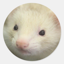 フェレット顔 ラウンドシール