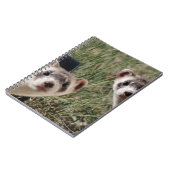 フェレット2つ ノートブック (左側)