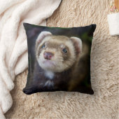 フェレット クッション (ブランケット)
