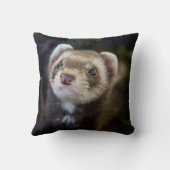 フェレット クッション (裏面)