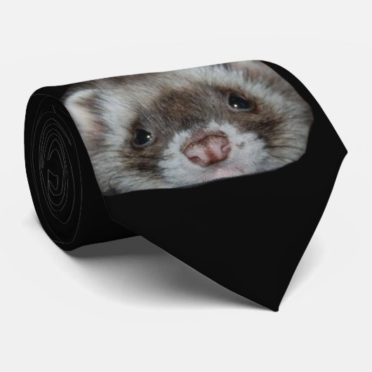 フェレット ネクタイ (ロール)