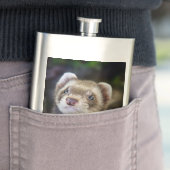 フェレット フラスク (インサイチュ)