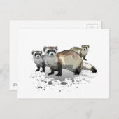 フェレット ポストカード (正面/裏面)