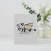 フェレット ポストカード (スタンド正面)