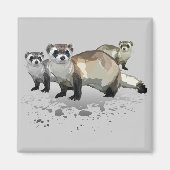 フェレット マグネット (正面)