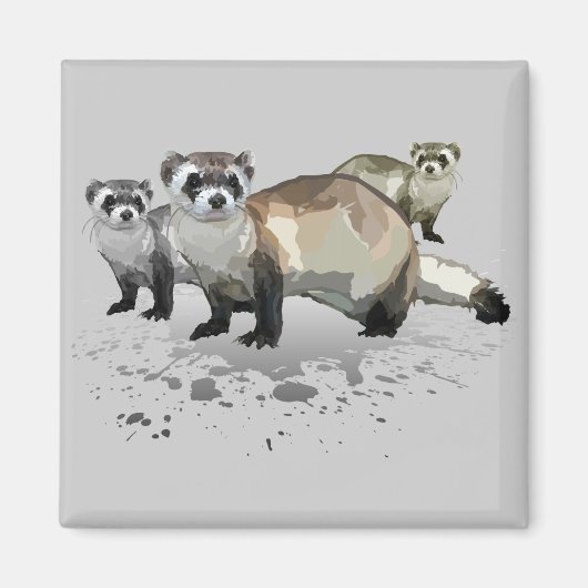 フェレット マグネット (正面)