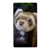 フェレット ラベル (正面)