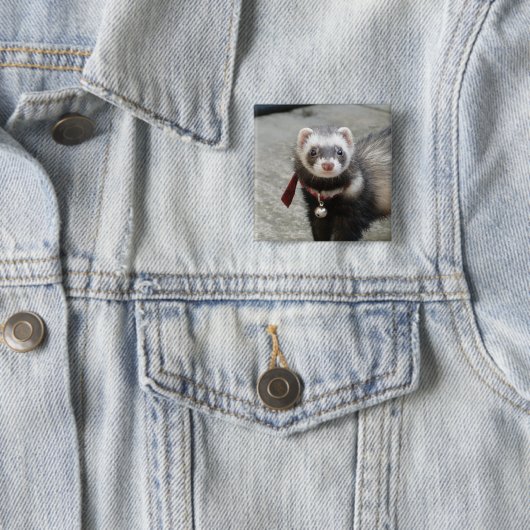 フェレット 缶バッジ (インサイチュ)