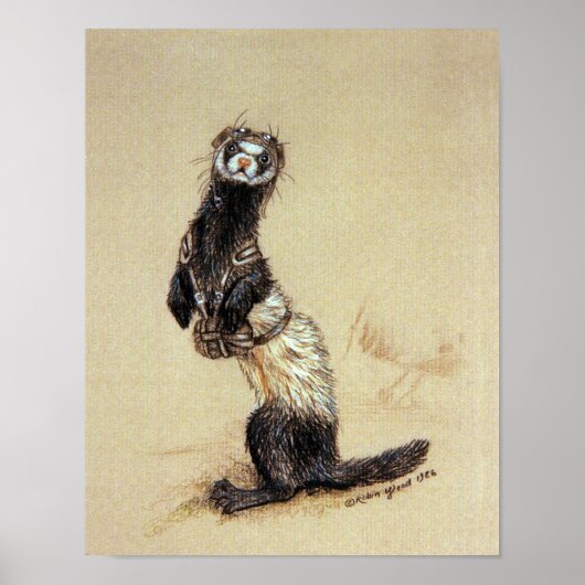 フェレトロオペル – プリントまたはポスター ポスター (正面)