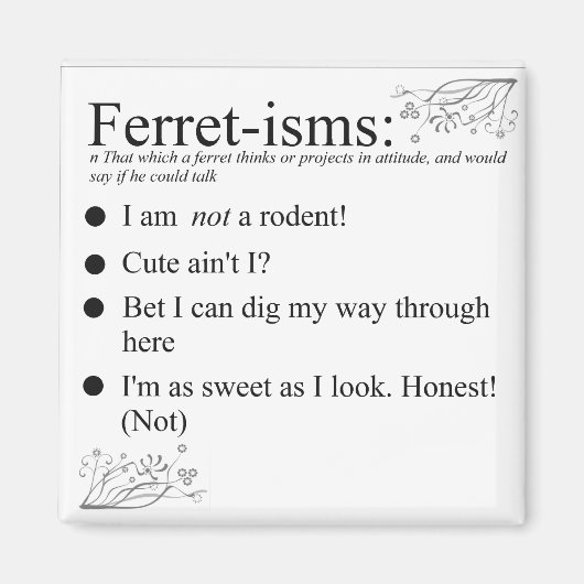 フェレーおもしろいトの贈り物 マグネット (正面)