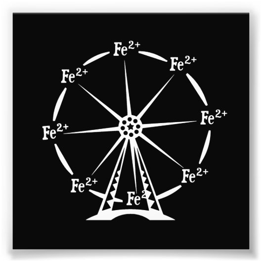 フェロスフェリスホイール フォトプリント            (正面)