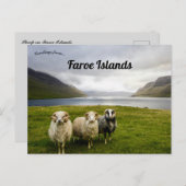 フェロー諸島の羊 ポストカード (正面/裏面)