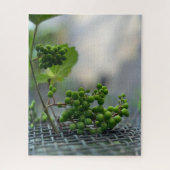 フェンスからの脱出 ジグソーパズル (縦)