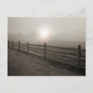 フェンスと日が差すことThrough Fog near Sharon ポストカード