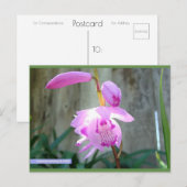 フェンスに向かってピンク色 | ブルービーチソング™はがき ポストカード (正面/裏面)