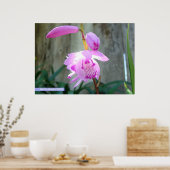 フェンスに向かってピンク色 ポスター (キッチン)