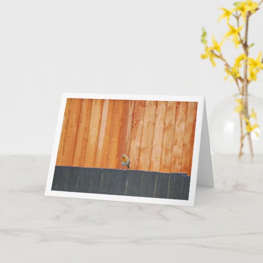 フェンスに止まるルビー色のロビン カード (黄色い花)