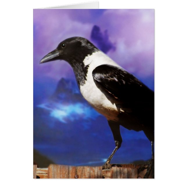 フェンスの上に広がる (正面)