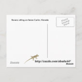 フェンスの上に座っている渓谷 ポストカード (裏面)