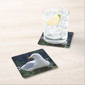 フェンスの上に積み下げるカモメ スクエアペーパーコースター (インサイチュ)