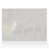 フェンスの上に立つ (内部横(上))