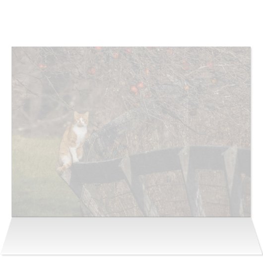 フェンスの上に立つ (内部横(上))