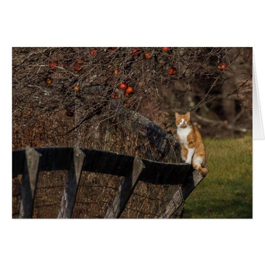 フェンスの上に立つ (正面横)