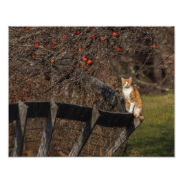 フェンスの上に立つ フォトプリント           