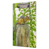 フェンスの上のチムンク クリップボード (左)