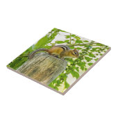 フェンスの上のチムンク タイル (側面)