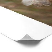 フェンスの上のバーンドウル ポスター (角)