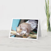 フェンスの上のリス カード (正面)