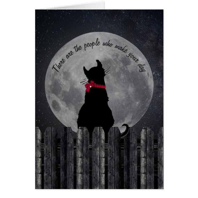 フェンスの上の月明かりの中で友情の猫 (正面)