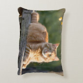 フェンスの上の生姜素朴猫 アクセントクッション (裏面(縦))