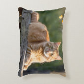 フェンスの上の生姜素朴猫 アクセントクッション (正面(垂直))