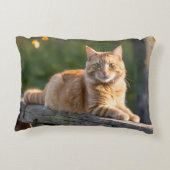 フェンスの上の生姜素朴猫 アクセントクッション (裏面)
