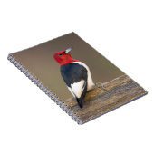 フェンスの上の赤毛頭のキツツキ ノートブック (右側)