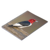 フェンスの上の赤毛頭のキツツキ ノートブック (左側)