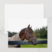フェンスの側面を覆う馬 ポストカード (正面/裏面)