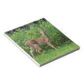 フェンスの前で顔を出す ノートパッド (アングル)