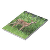 フェンスの前で顔を出す ノートパッド (回転)